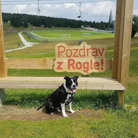 Rogla - Chalet Mojca Pokrajculja Zrece Exterior photo