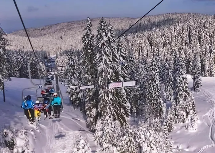 Rogla - Chalet Mojca Pokrajculja