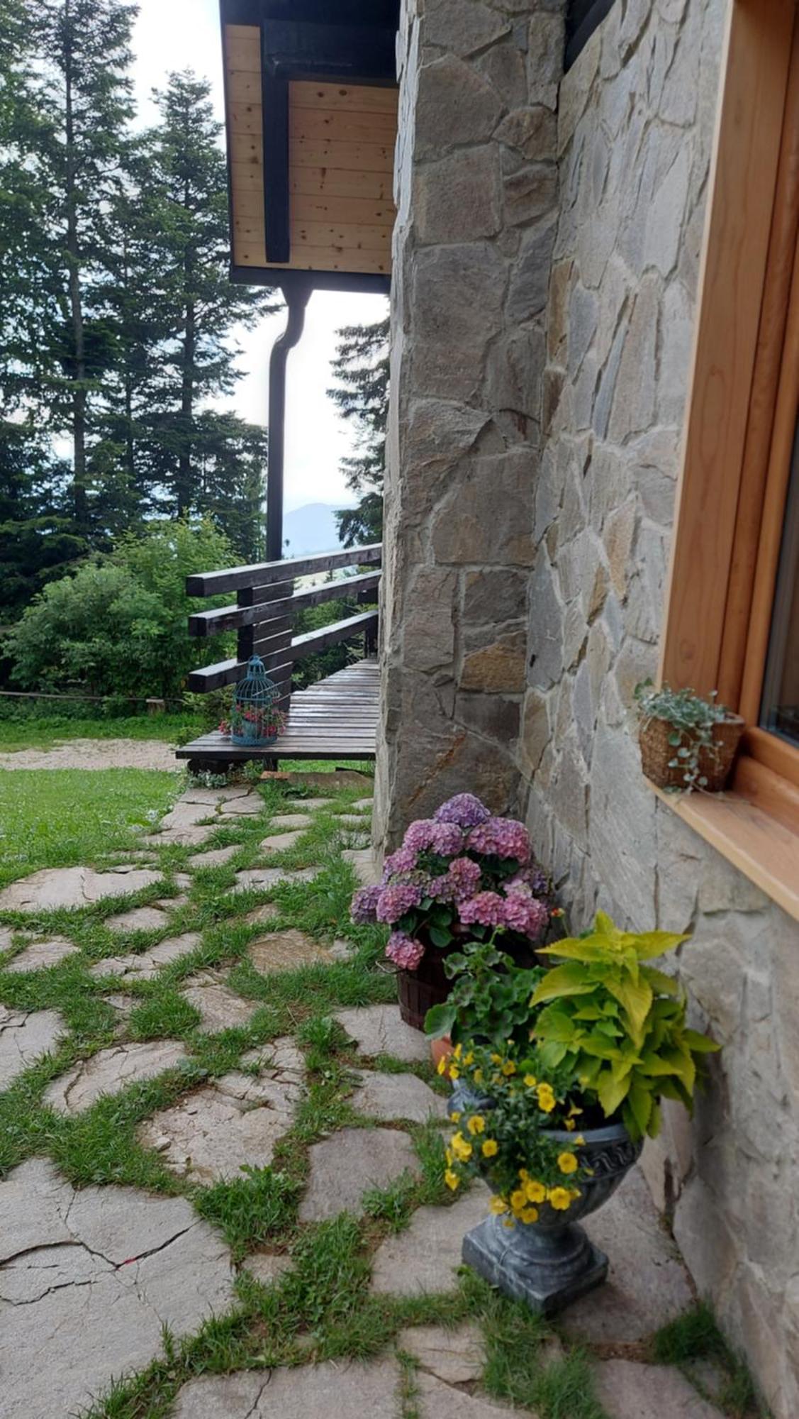 Chalet Rogla - Mojca Pokrajculja