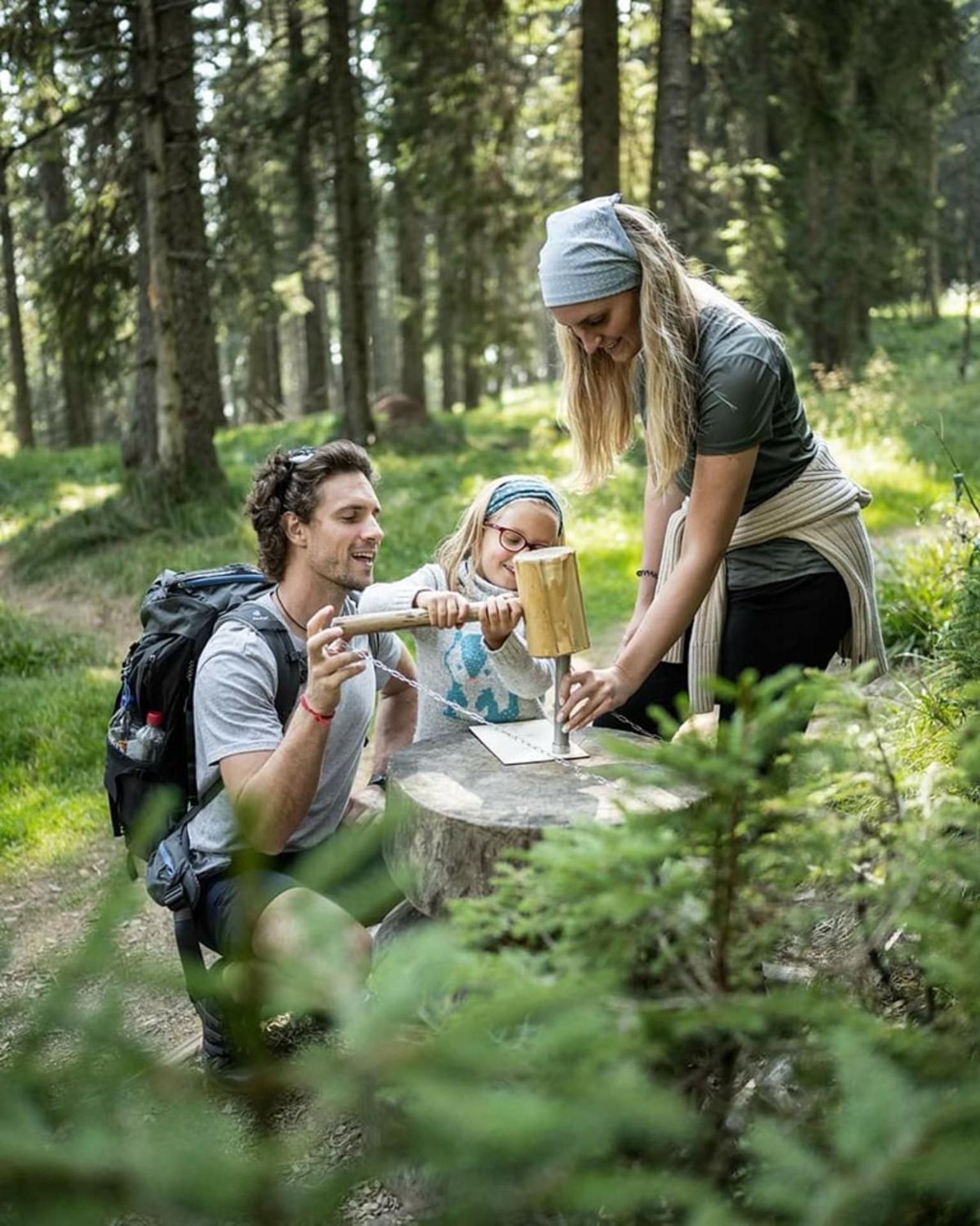 Chalet Rogla - Mojca Pokrajculja