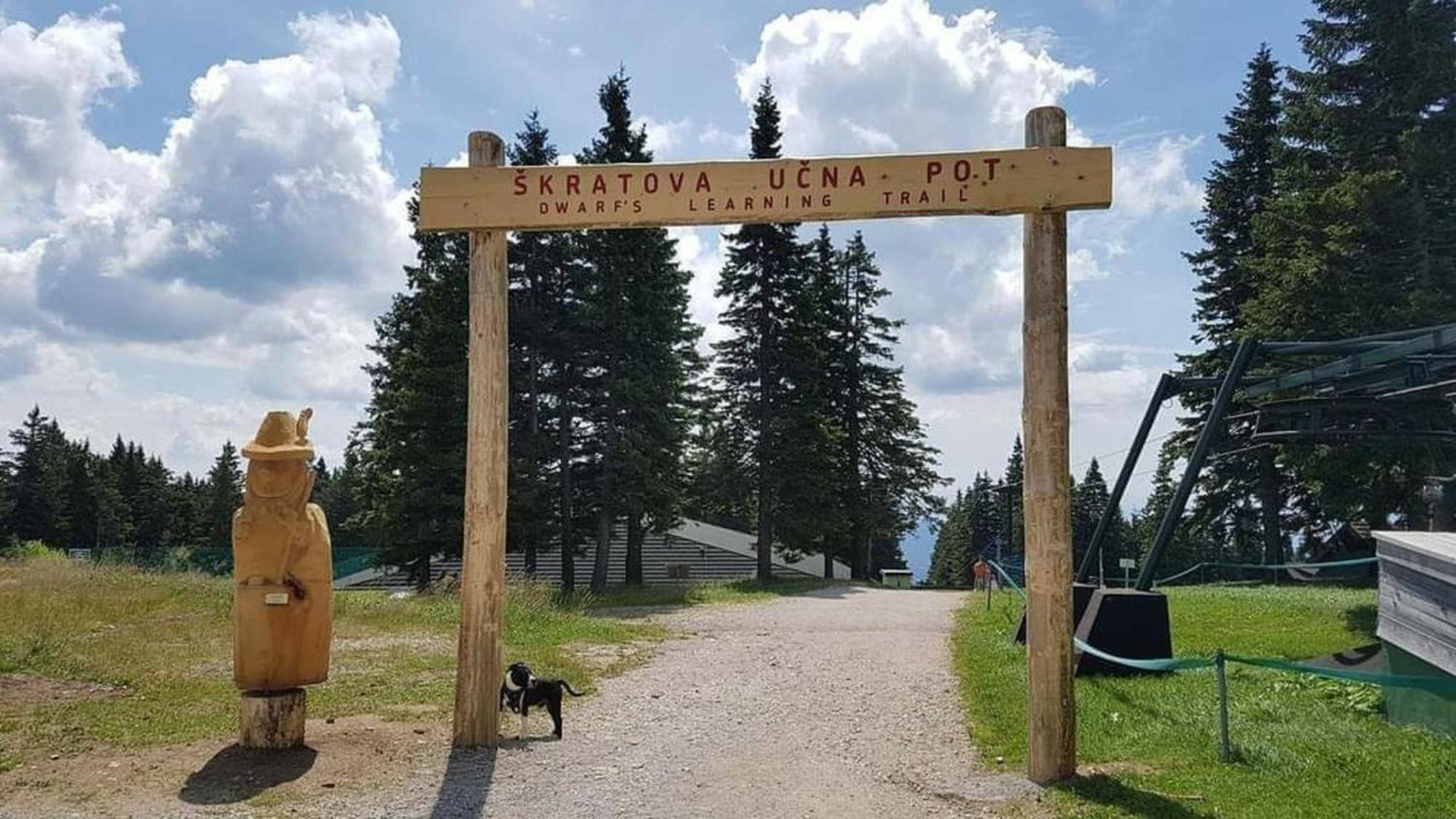 Rogla - Mojca Pokrajculja Chalet Zrece