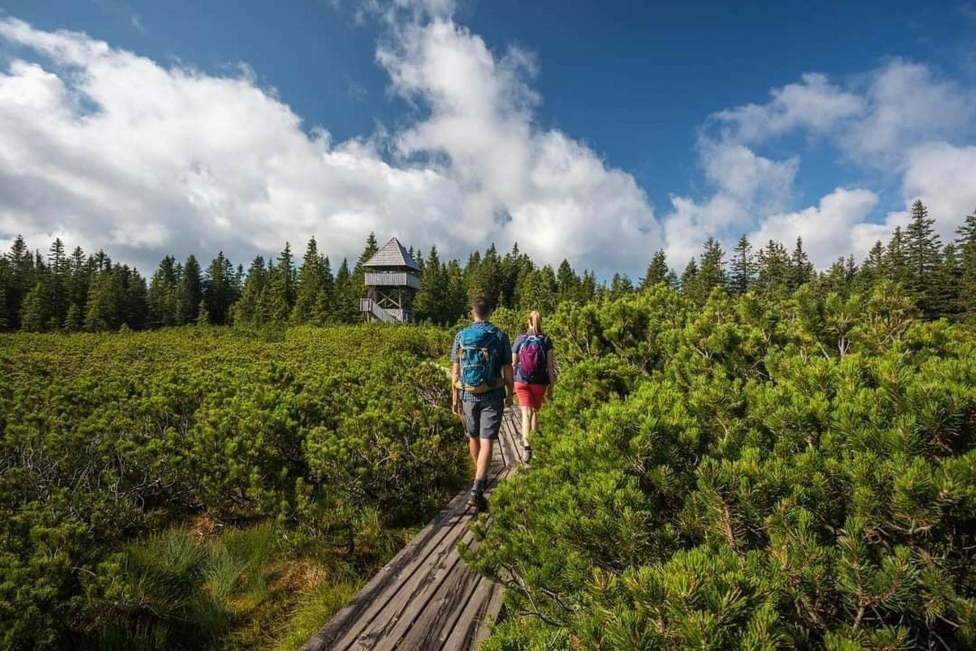 Chalet Rogla - Mojca Pokrajculja