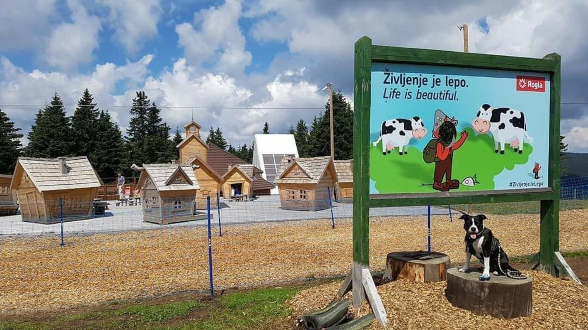 Rogla - Mojca Pokrajculja