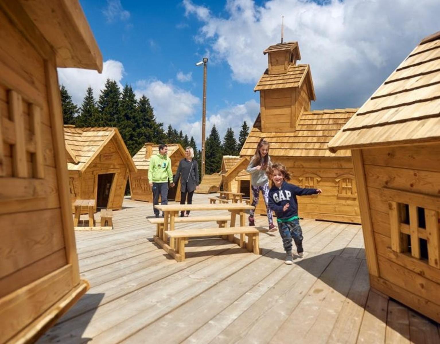 Rogla - Mojca Pokrajculja Chalet