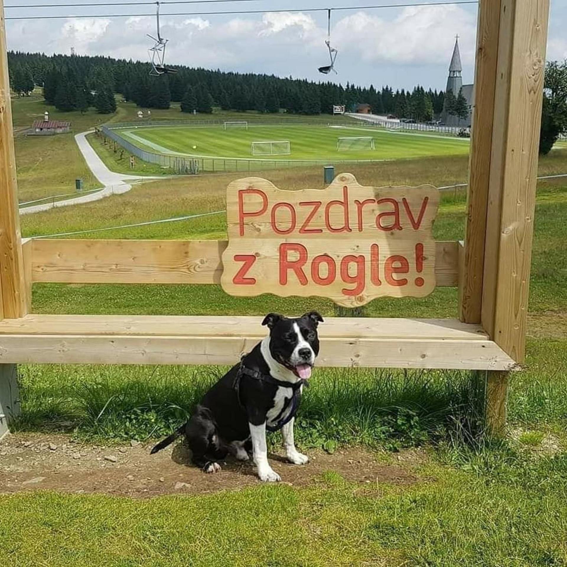 Rogla - Mojca Pokrajculja Chalet
