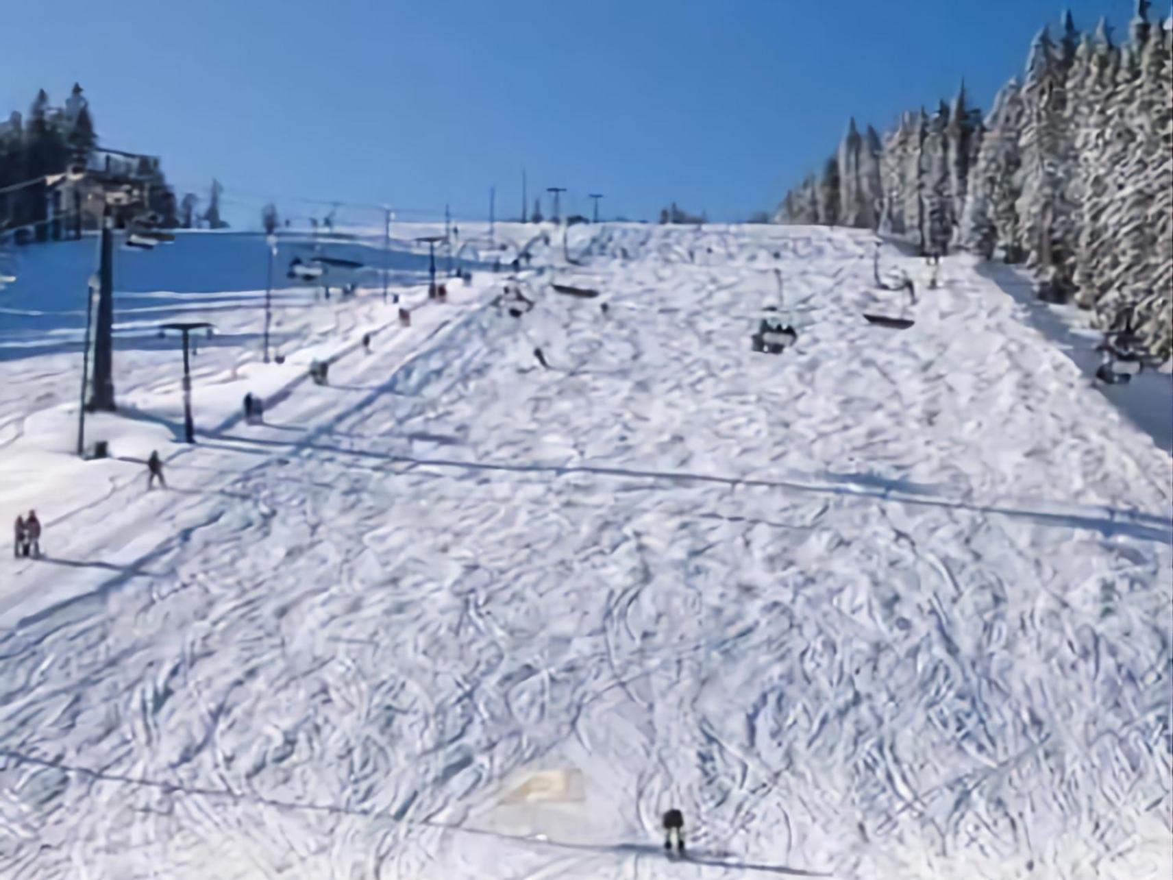Chalet Rogla - Mojca Pokrajculja *