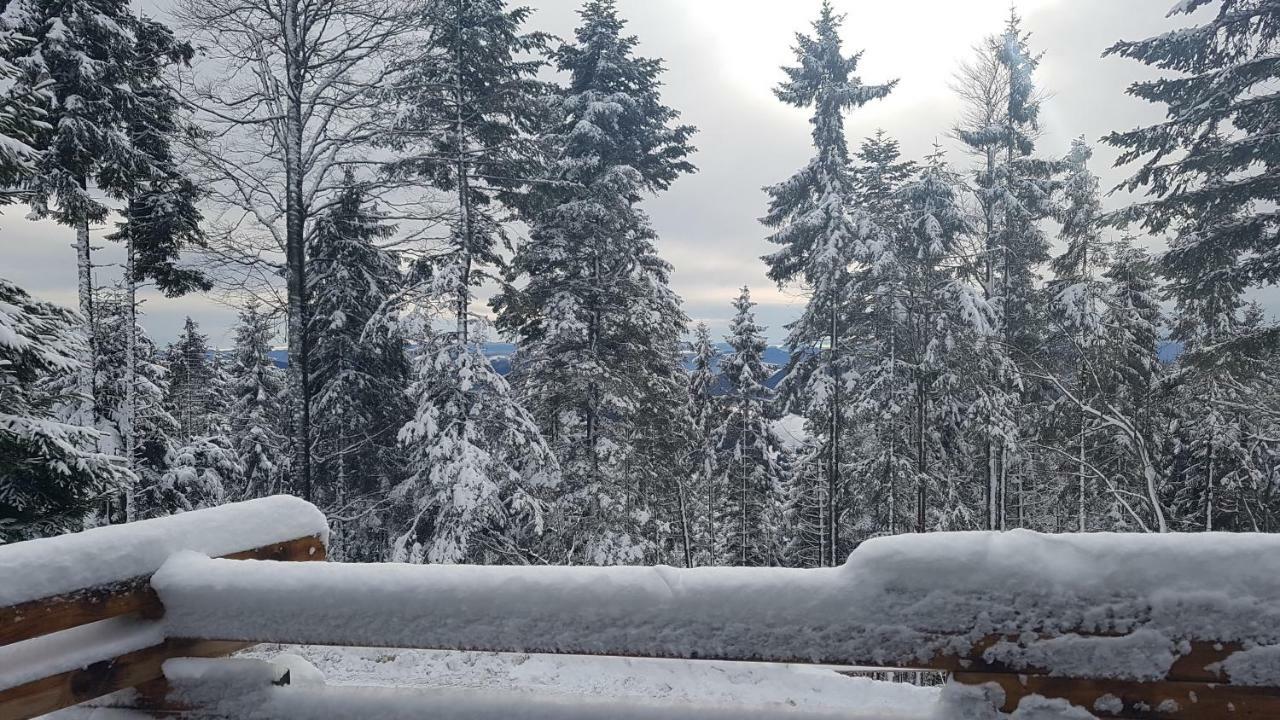 Rogla - Mojca Pokrajculja Chalet