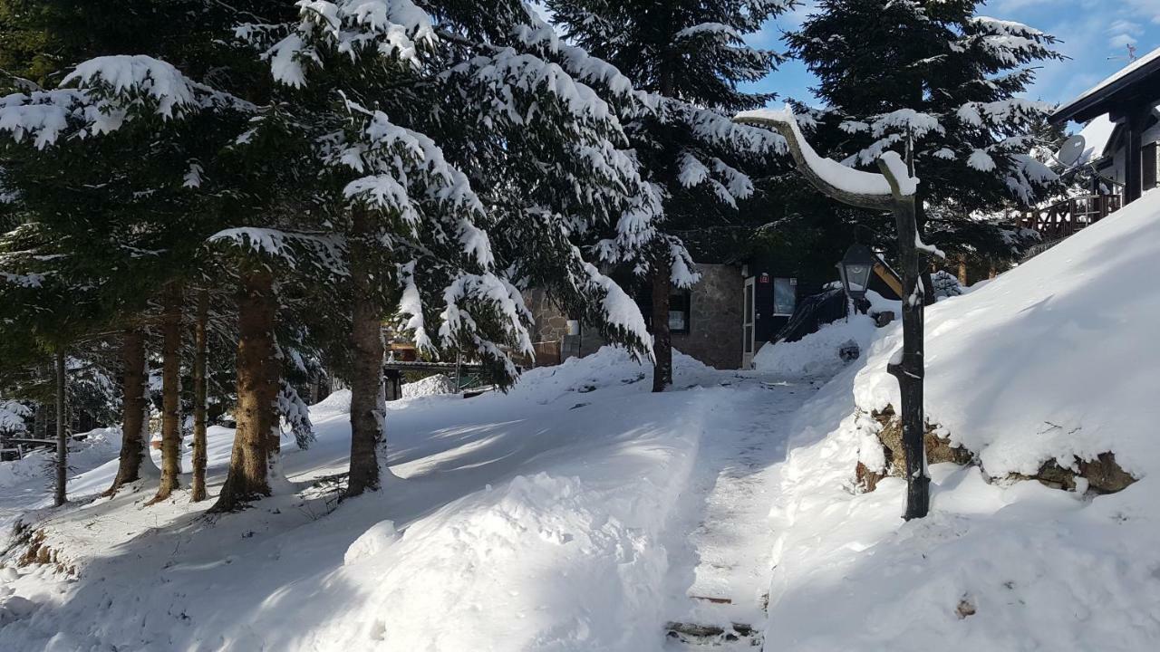 Chalet Rogla - Mojca Pokrajculja *