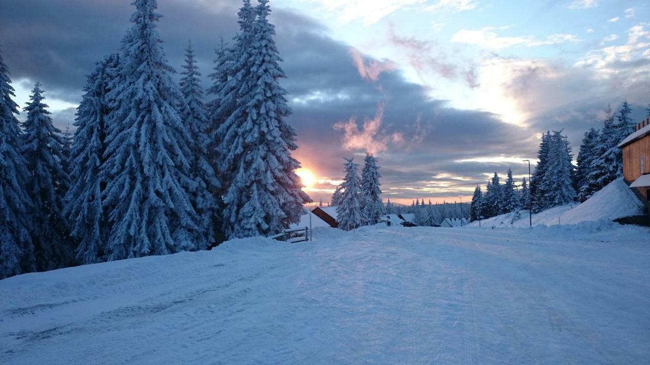 Chalet Rogla - Mojca Pokrajculja