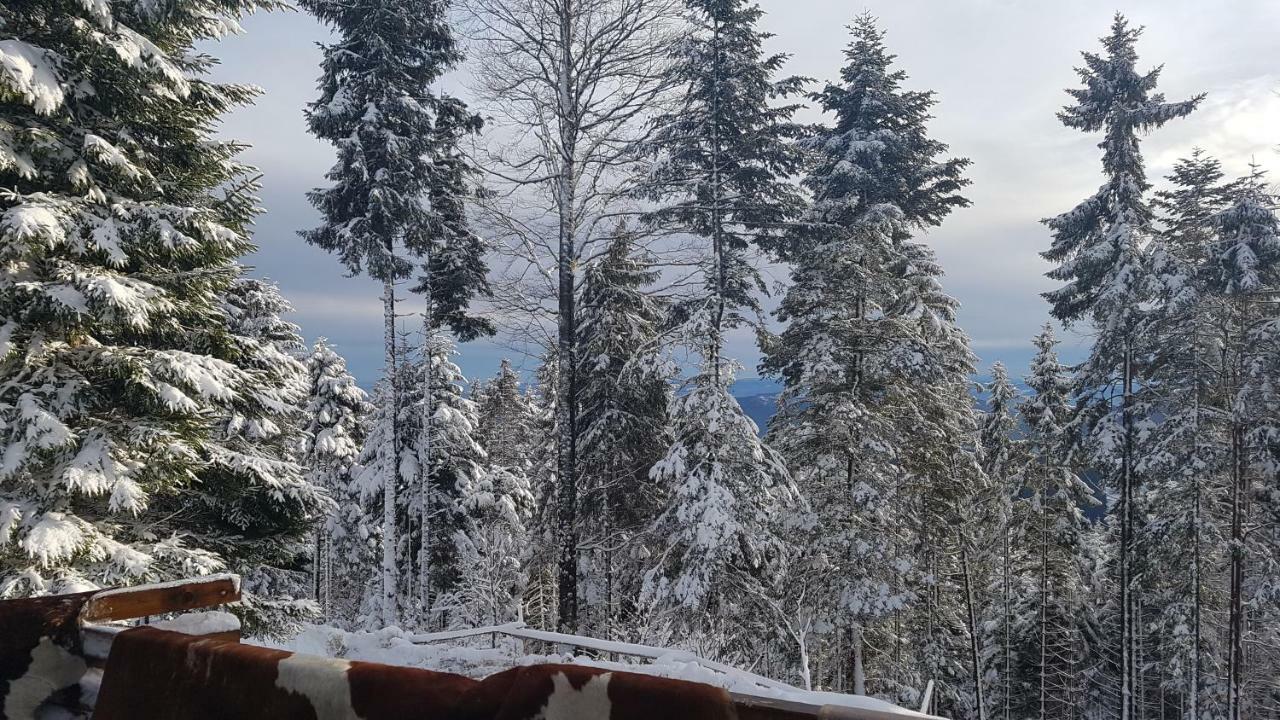 Chalet Rogla - Mojca Pokrajculja