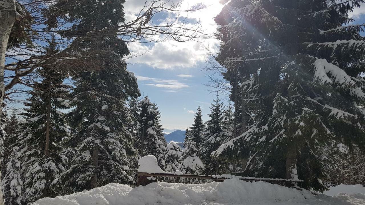 Rogla - Mojca Pokrajculja * Zrece