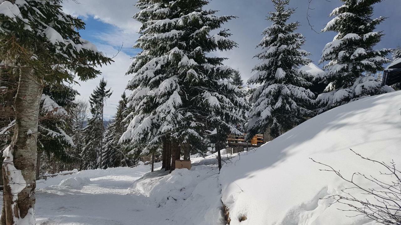 Chalet Rogla - Mojca Pokrajculja *