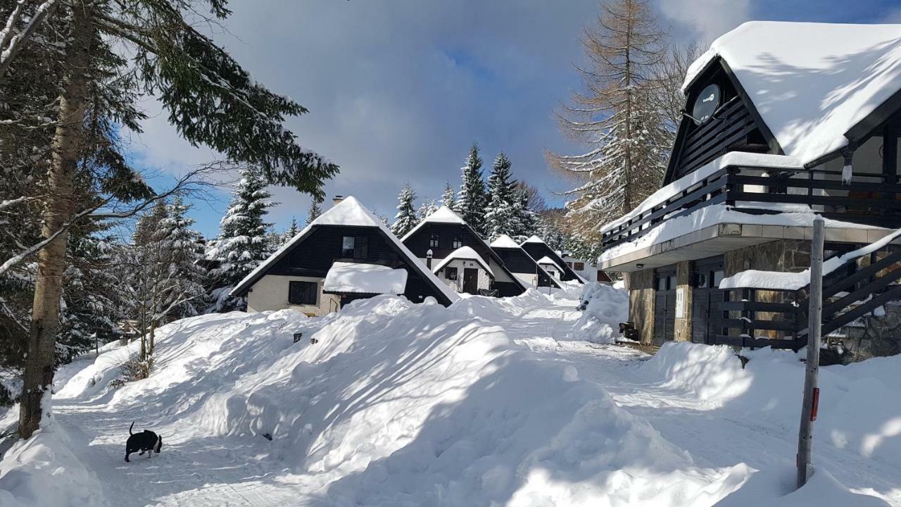 Rogla - Mojca Pokrajculja Chalet *