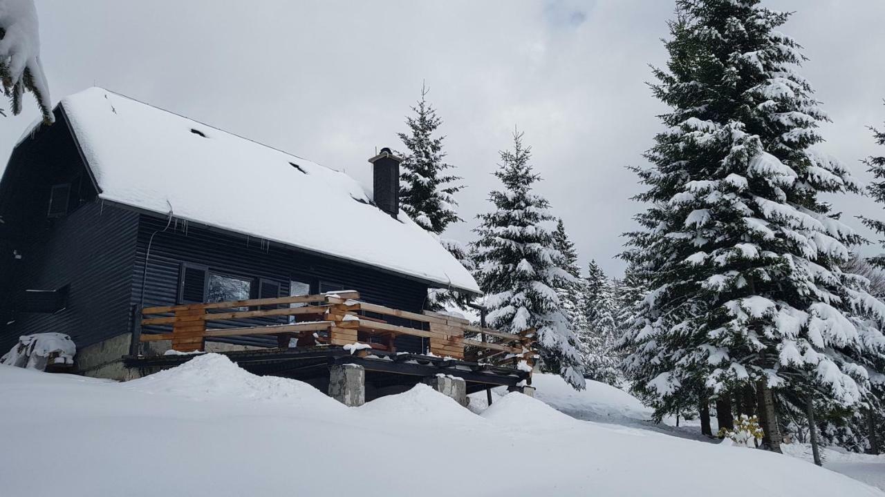 Rogla - Mojca Pokrajculja Zrece