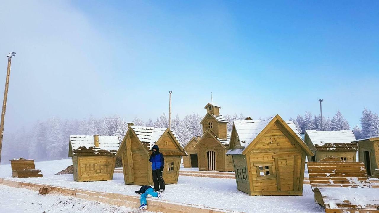 Rogla - Mojca Pokrajculja Zrece