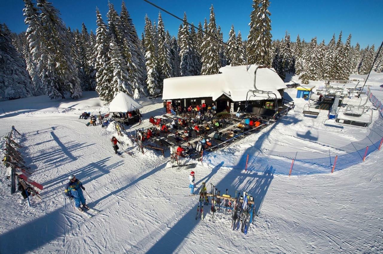 Chalet Rogla - Mojca Pokrajculja Zrece