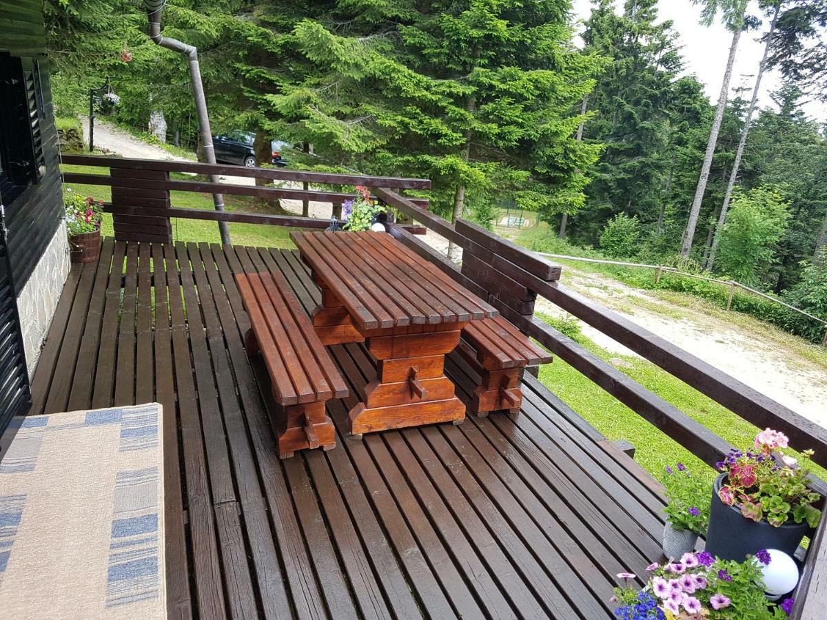 Rogla - Mojca Pokrajculja