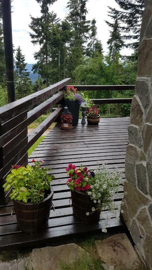 Chalet Rogla - Mojca Pokrajculja Zrece